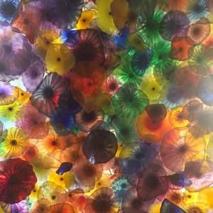 Meet your Posher, Campo